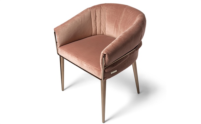 椰子(zǐ)雞火鍋時尚輕奢餐椅(yǐ)