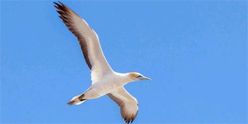 海德利餐飲具改(gǎi)變(biàn)