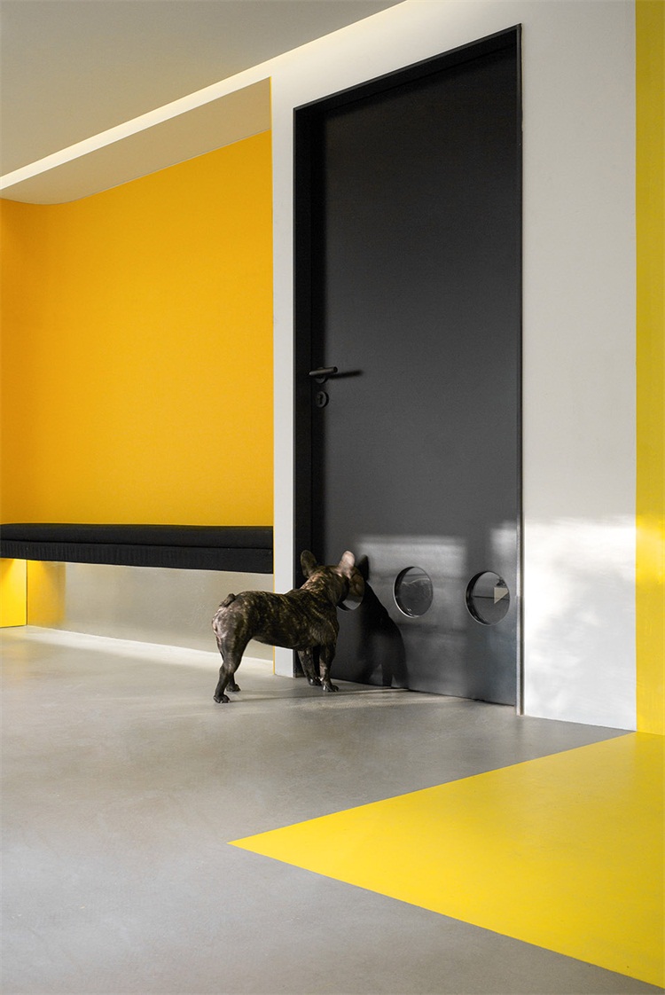 寵物咖啡廳空（kōng）間設計效果圖